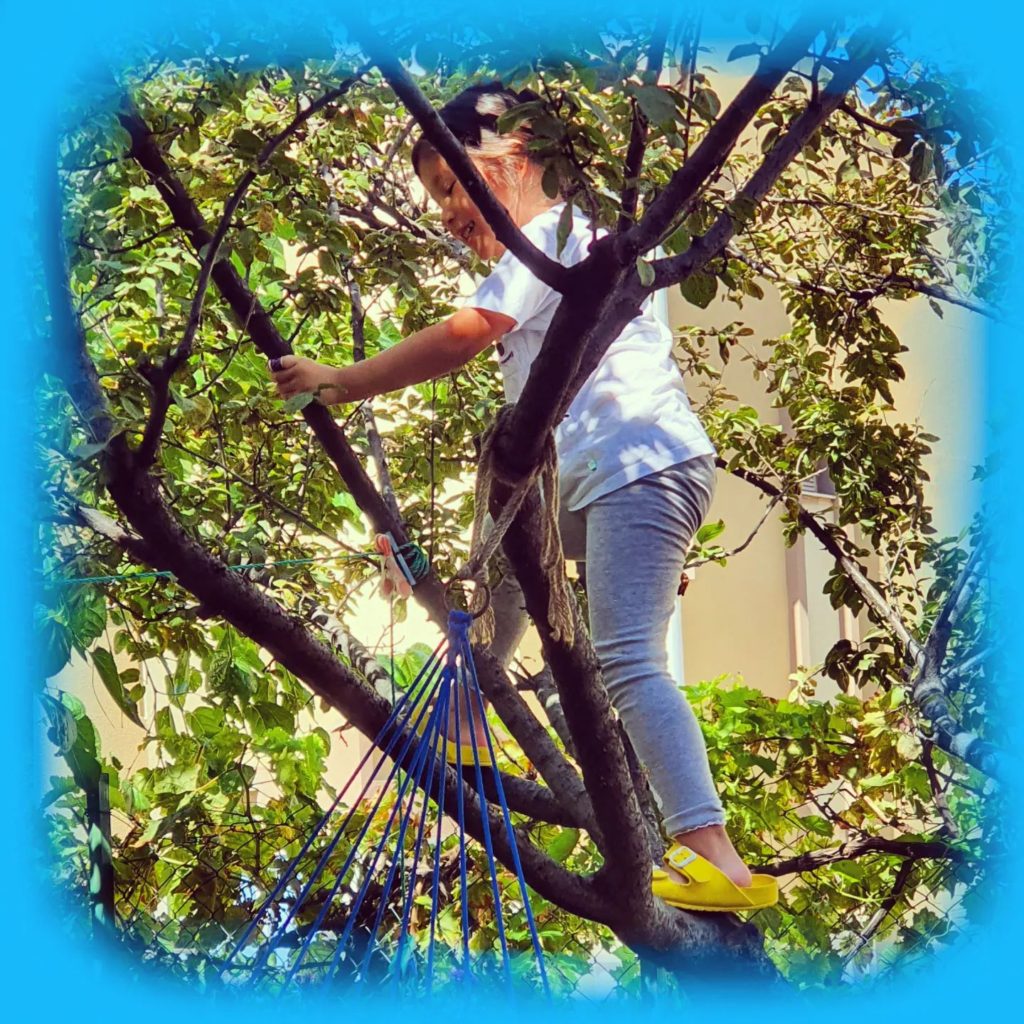 💙Do you climb trees?💙
